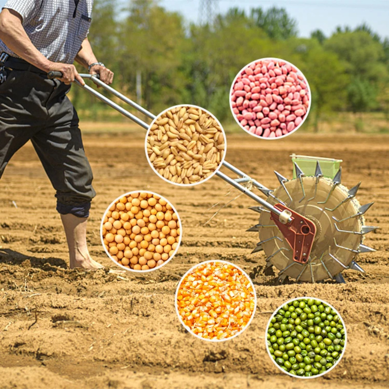 เครื่องปลูกเมล็ดพันธุ์หัวหอม ก - Agriculture Onion Farming บทวิจารณ์และราคา