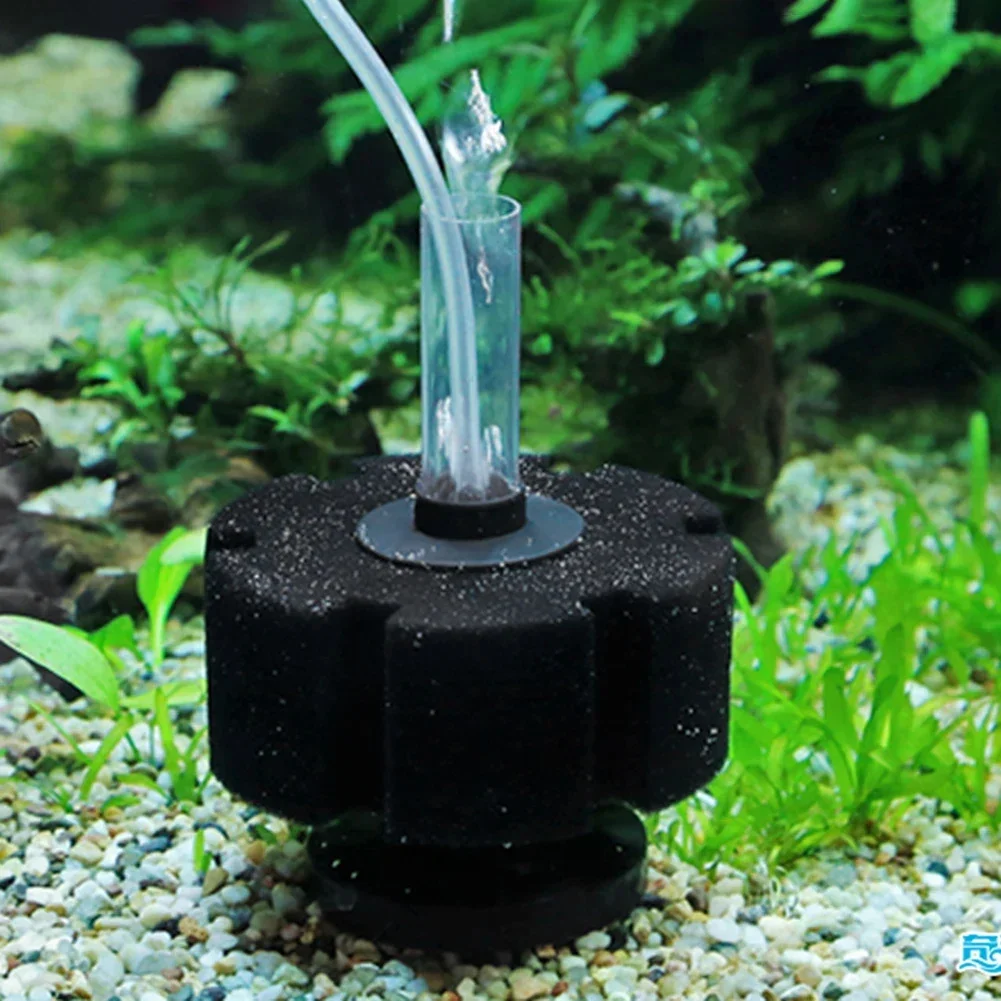 ฟองน้ำกรองตู้ปลา สำหรับปั๊มลมต - Aquaculture Aerator Pump บทวิจารณ์และราคา